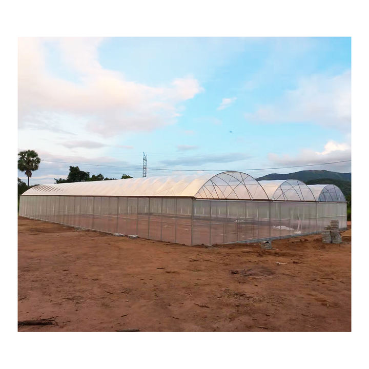 Agriculture large green house metal frame multispan vegetables growing tunnel multi span film greenhouse