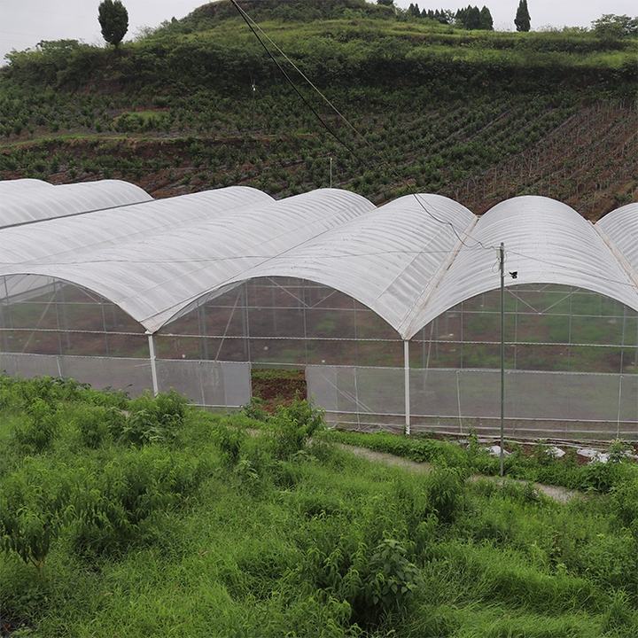 Agriculture large green house metal frame multispan vegetables growing tunnel multi span film greenhouse