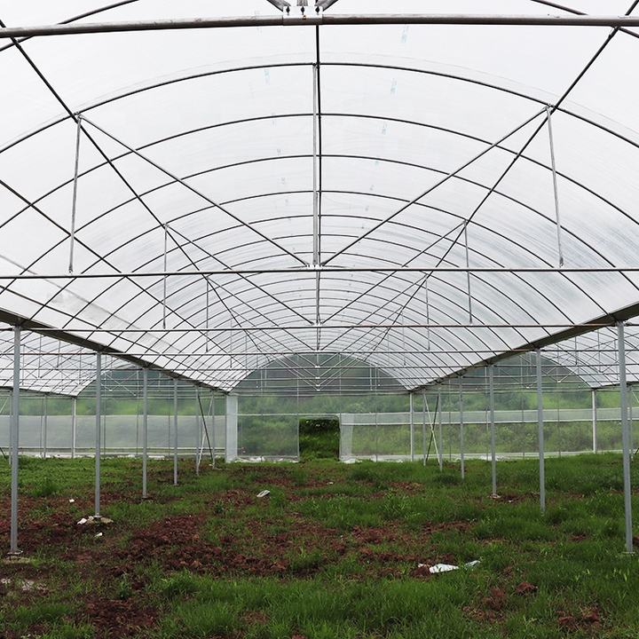 Agriculture large green house metal frame multispan vegetables growing tunnel multi span film greenhouse