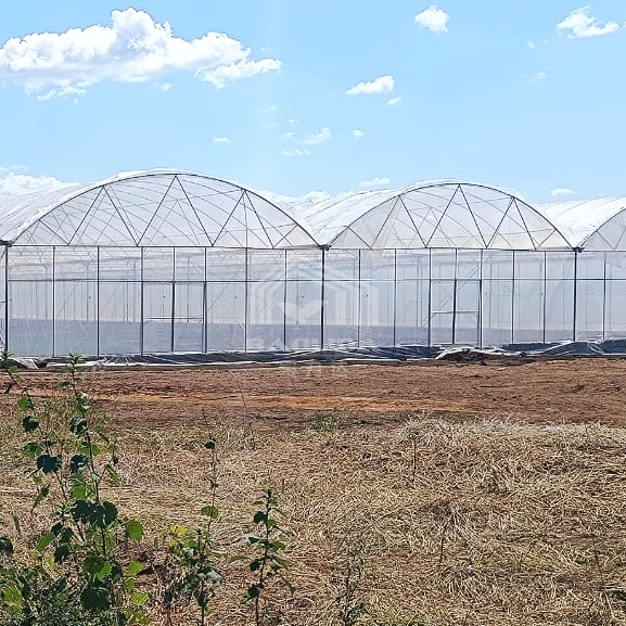 Agriculture large green house metal frame multispan vegetables growing tunnel multi span film greenhouse