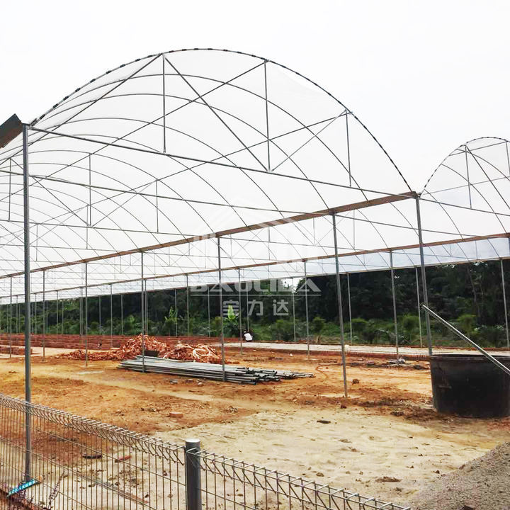 Agriculture large green house metal frame multispan vegetables growing tunnel multi span film greenhouse