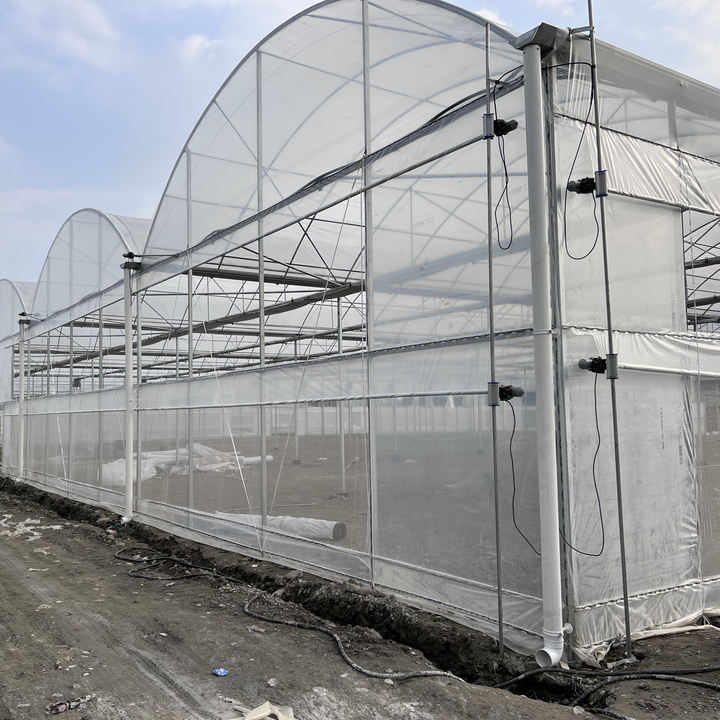 Agriculture multi-span arch plastic film greenhouse top ventilation multi-span film greenhouse for sale Wholesale Bulk Supply Distributor