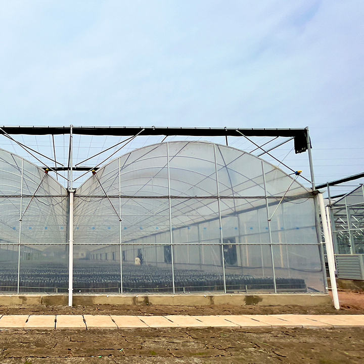 Agriculture plants growing thermal blanket greenhouse commercial multi-span greenhouses Affordable Factory Pricing Supply