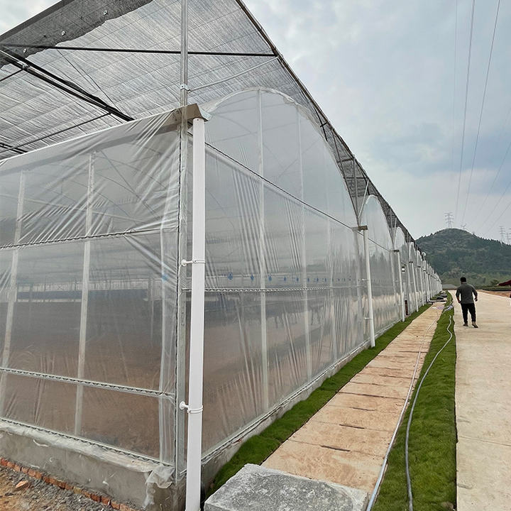Agriculture plants growing thermal blanket greenhouse commercial multi-span greenhouses Affordable Factory Pricing Supply
