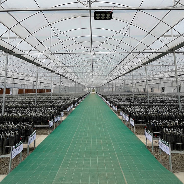 Agriculture plants growing thermal blanket greenhouse commercial multi-span greenhouses Affordable Factory Pricing Supply