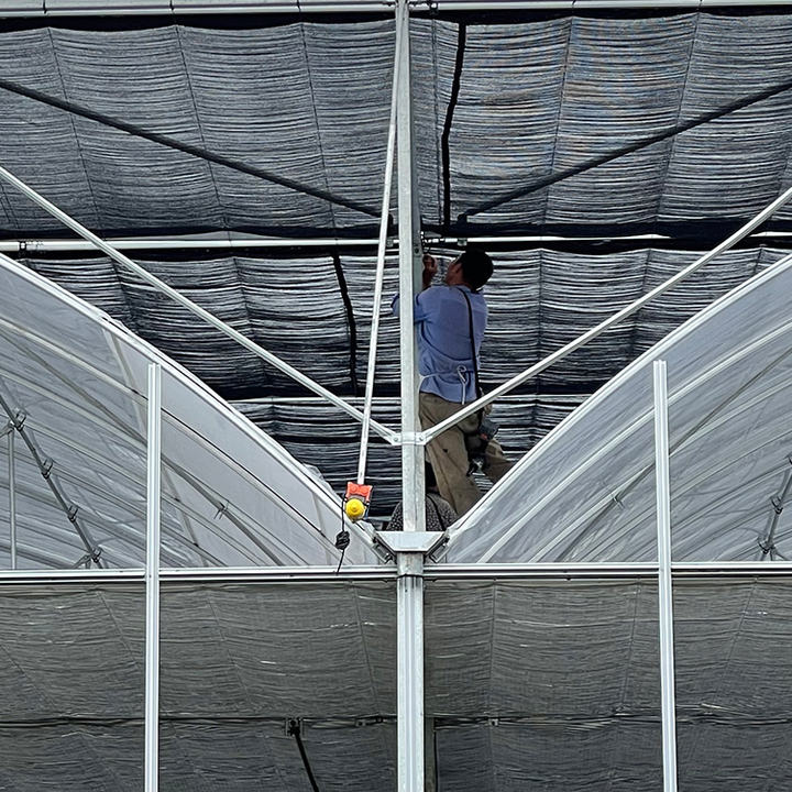 Agriculture plants growing thermal blanket greenhouse commercial multi-span greenhouses Affordable Factory Pricing Supply