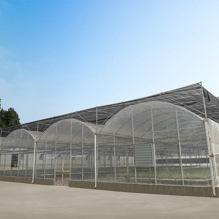 Anti Extreme Weather Snoow Wind Steel Structure Green House Hydroponic Conservatory Greenhouse For Tropical Climate Custom Manufacturing Production