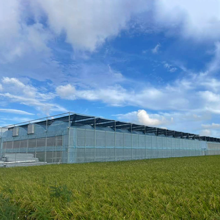 Anti Extreme Weather Snoow Wind Steel Structure Green House Hydroponic Conservatory Greenhouse For Tropical Climate Custom Manufacturing Production