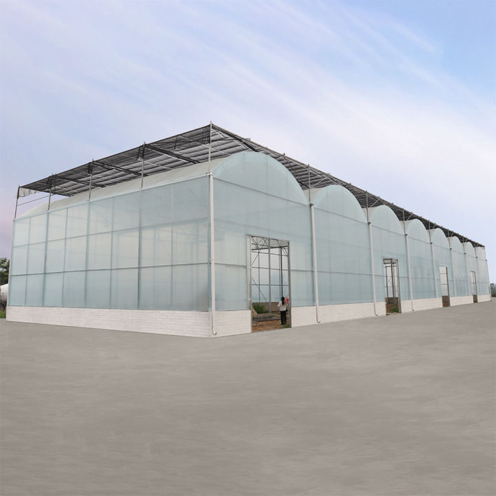 Anti Extreme Weather Snoow Wind Steel Structure Green House Hydroponic Conservatory Greenhouse For Tropical Climate Custom Manufacturing Production