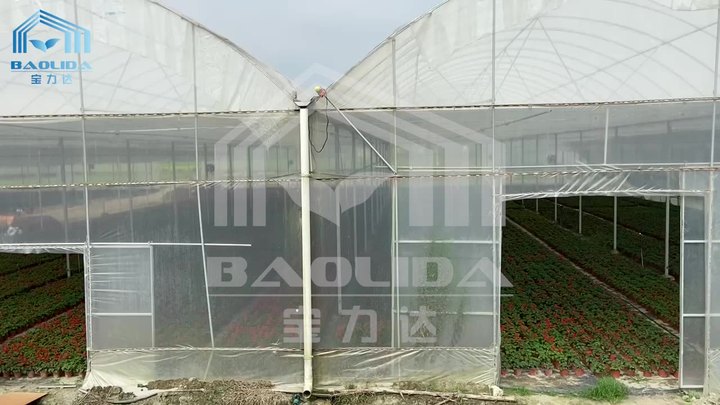 Automated Industrial Winter Tomato Hydroponic Invernadero Greenhouse Structure Steel Frame Uv Plastic For Greenhouse Philippines