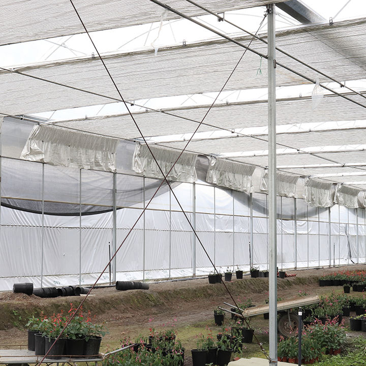 Automated Industrial Winter Tomato Hydroponic Invernadero Greenhouse Structure Steel Frame Uv Plastic For Greenhouse Philippines