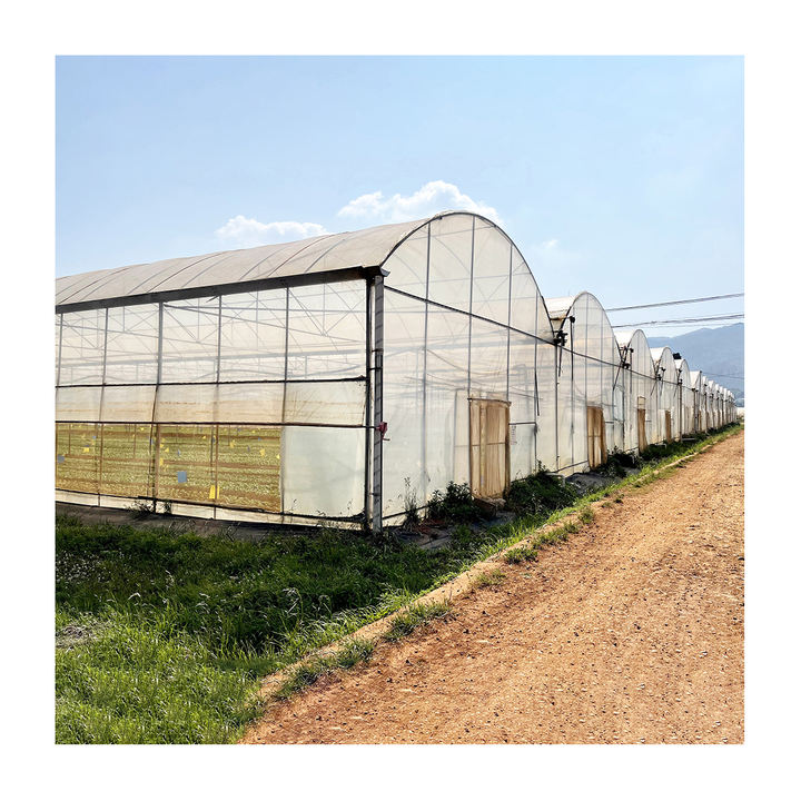 Automatic Greenhouses Plastic film Agriculture Vertical Tower Type Grow Kit Multi-span Greenhouse