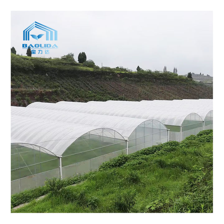 BAOLIDA Agricultural greenhouses ready to ship plastic film covering multispan greenhouse project for strawberry planting Manufacturing and Export