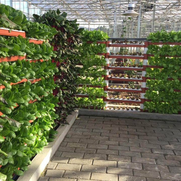 BAOLIDA Agricultural greenhouses ready to ship plastic film covering multispan greenhouse project for strawberry planting Manufacturing and Export