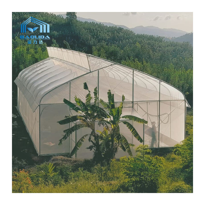 BAOLIDA Custom High Quality Gothic Greenhouse Seedling Tropical Hydroponic Multi-span Sawtooth Greenhouse