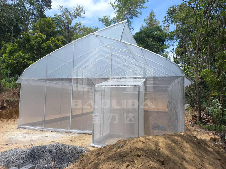 BAOLIDA Custom High Quality Gothic Greenhouse Seedling Tropical Hydroponic Multi-span Sawtooth Greenhouse