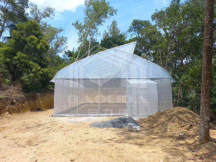 BAOLIDA Custom High Quality Gothic Greenhouse Seedling Tropical Hydroponic Multi-span Sawtooth Greenhouse