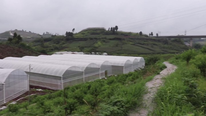 BAOLIDA Hot dip galvanized steel automatic shading system multi span greenhouse cover net plant multi-span greenhouses