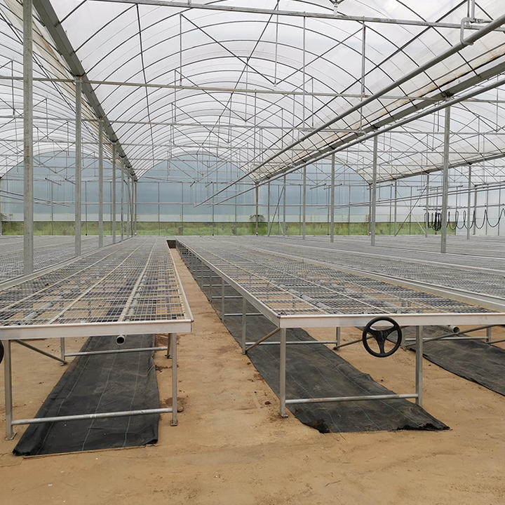 BAOLIDA Hot dip galvanized steel automatic shading system multi span greenhouse cover net plant multi-span greenhouses Mass Market Wholesale Customization