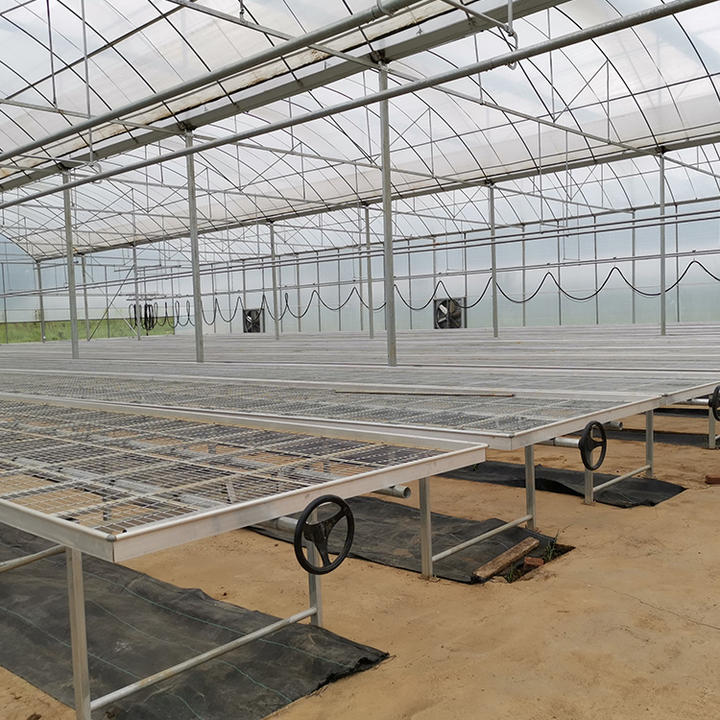 BAOLIDA Hot dip galvanized steel automatic shading system multi span greenhouse cover net plant multi-span greenhouses Mass Market Wholesale Customization