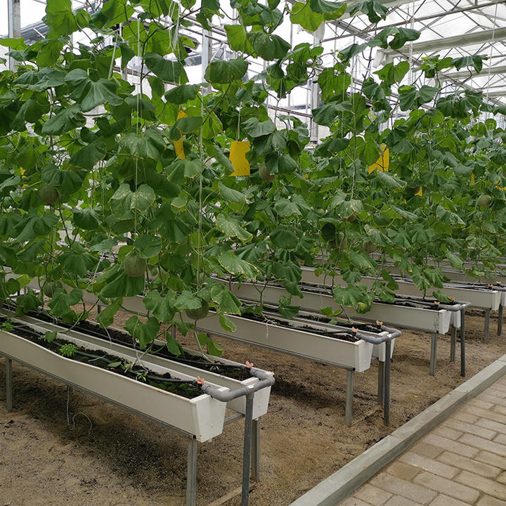 BAOLIDA Hot dip galvanized steel automatic shading system multi span greenhouse cover net plant multi-span greenhouses Mass Market Wholesale Customization