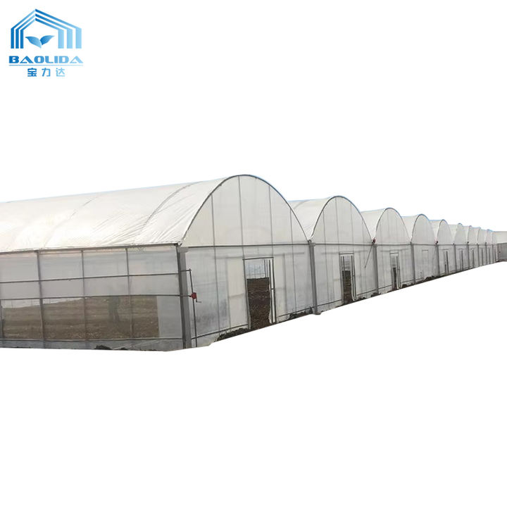 BAOLIDA Large commercial poly film arch tunnel type agriculture vegetable Cheap Plastic Film Greenhouses