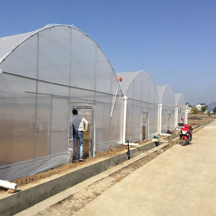 BAOLIDA Large commercial poly film arch tunnel type agriculture vegetable Cheap Plastic Film Greenhouses