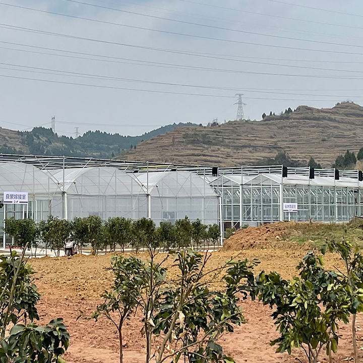 BAOLIDA Shading system greenhouse cover plastic films multi-span greenhouses for agriculture