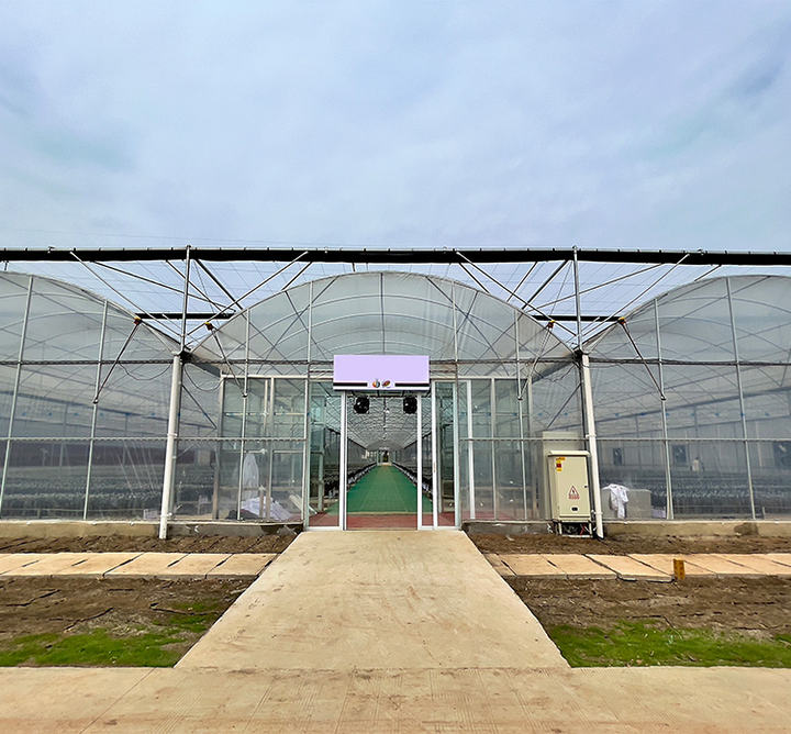 BAOLIDA Shading system greenhouse cover plastic films multi-span greenhouses for agriculture