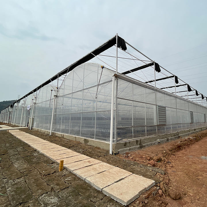 BAOLIDA Shading system greenhouse cover plastic films multi-span greenhouses for agriculture