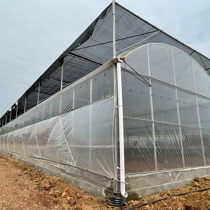 BAOLIDA Shading system greenhouse cover plastic films multi-span greenhouses for agriculture