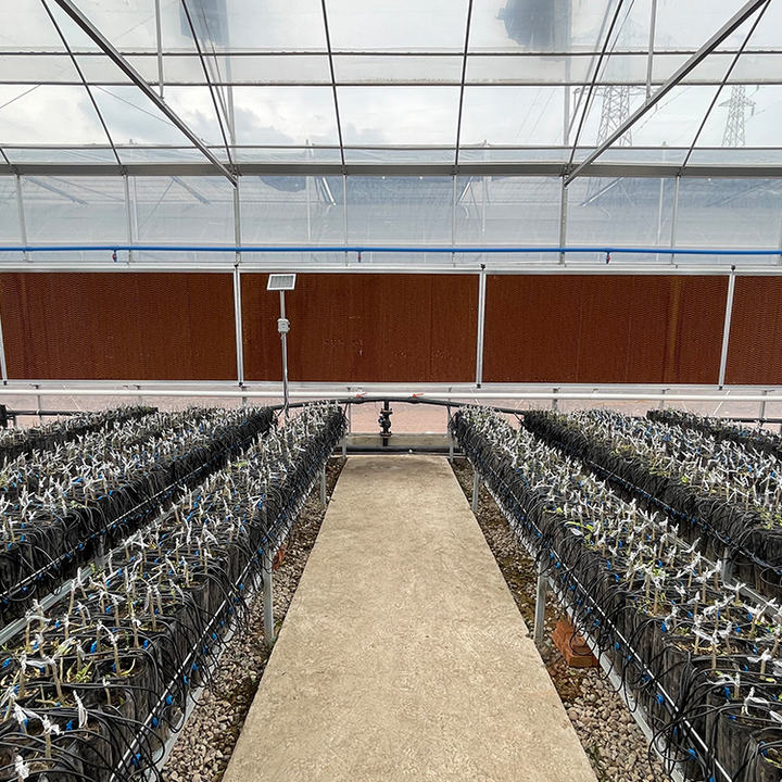 BAOLIDA Shading system greenhouse cover plastic films multi-span greenhouses for agriculture