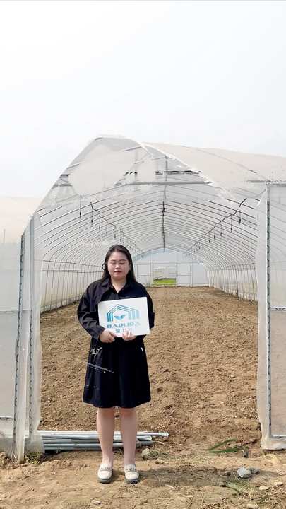 BAOLIDA Strawberry growing hydroponics system vertical greenhouses irrigation system tunnel greenhouses