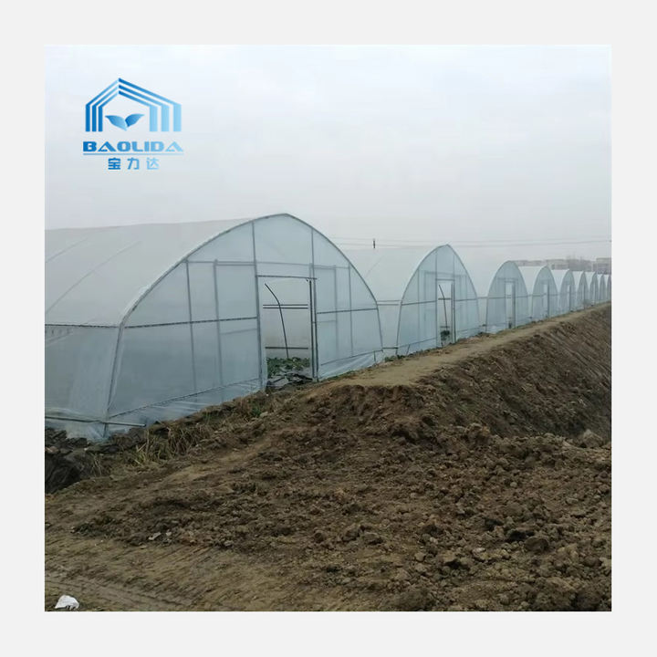 BAOLIDA Strawberry growing hydroponics system vertical greenhouses irrigation system tunnel greenhouses