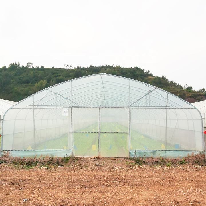 BAOLIDA Strawberry growing hydroponics system vertical greenhouses irrigation system tunnel greenhouses