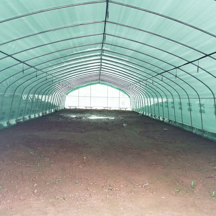 BAOLIDA Strawberry growing hydroponics system vertical greenhouses irrigation system tunnel greenhouses