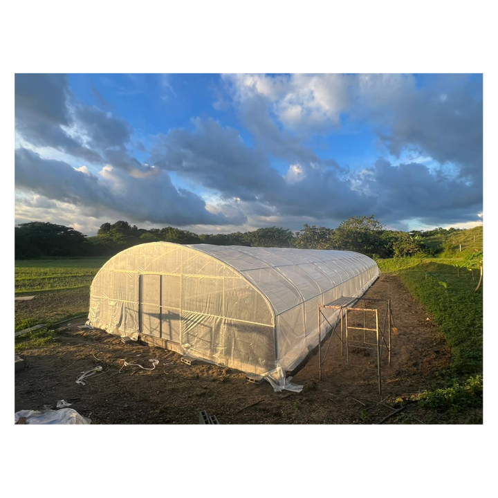 BAOLIDA Strawberry growing hydroponics system vertical greenhouses irrigation system tunnel greenhouses