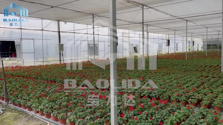 BAOLIDA Tropical hydroponic growing greenhouse covering fabric polythelyne high tunnel plastic film multi-span greenhouses