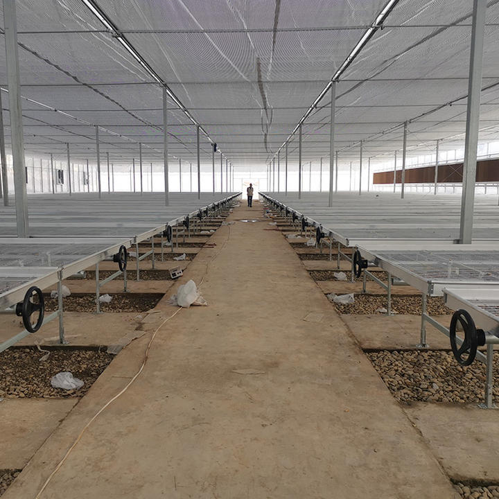 BAOLIDA Tropical hydroponic growing greenhouse covering fabric polythelyne high tunnel plastic film multi-span greenhouses