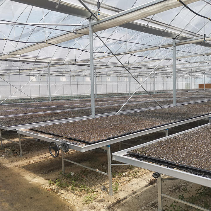 BAOLIDA Tropical hydroponic growing greenhouse covering fabric polythelyne high tunnel plastic film multi-span greenhouses