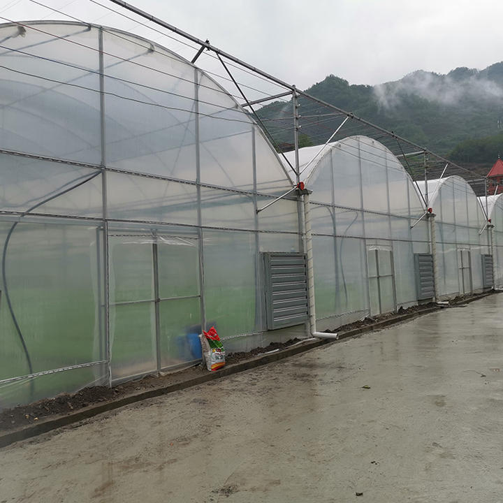 BAOLIDA Tropical hydroponic growing greenhouse covering fabric polythelyne high tunnel plastic film multi-span greenhouses