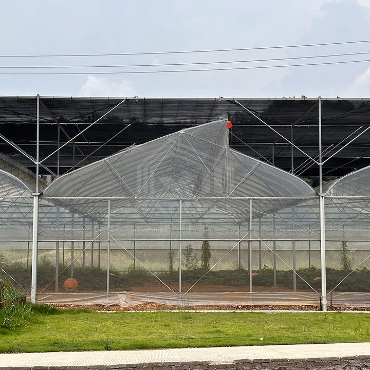 Baolida Hot dip galvanized steel pipe green house hothouse ventilated plastic sawtooth multi-span film tropical greenhouse