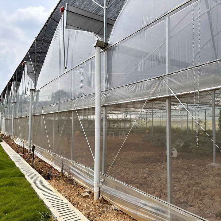 Baolida Hot dip galvanized steel pipe green house hothouse ventilated plastic sawtooth multi-span film tropical greenhouse