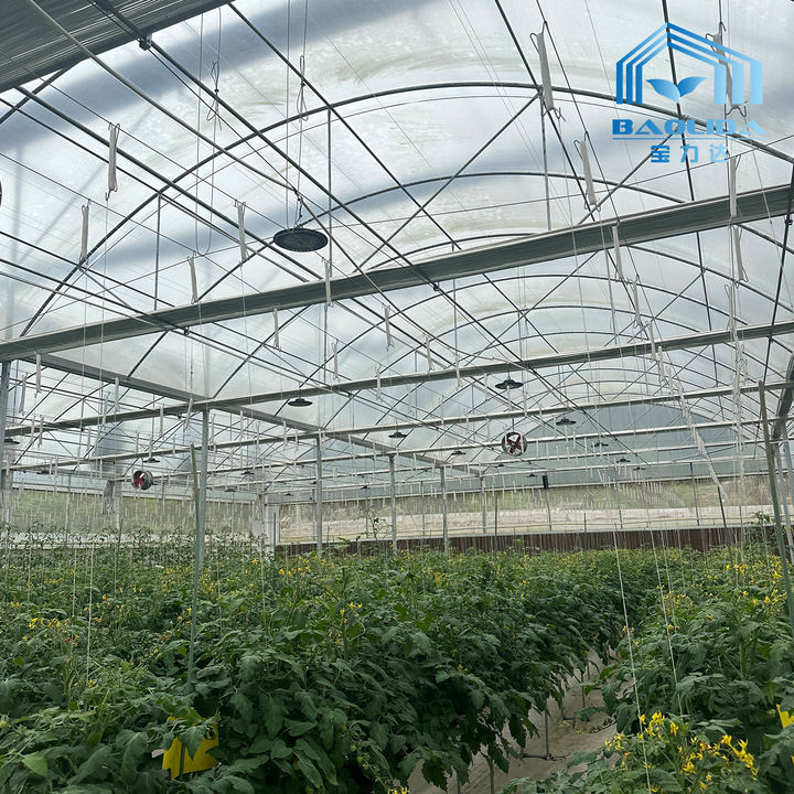 Baolida Large high agricultural tunnel greenhouse accessories plastic film cover multi-span greenhouses Factory Pricing Supply