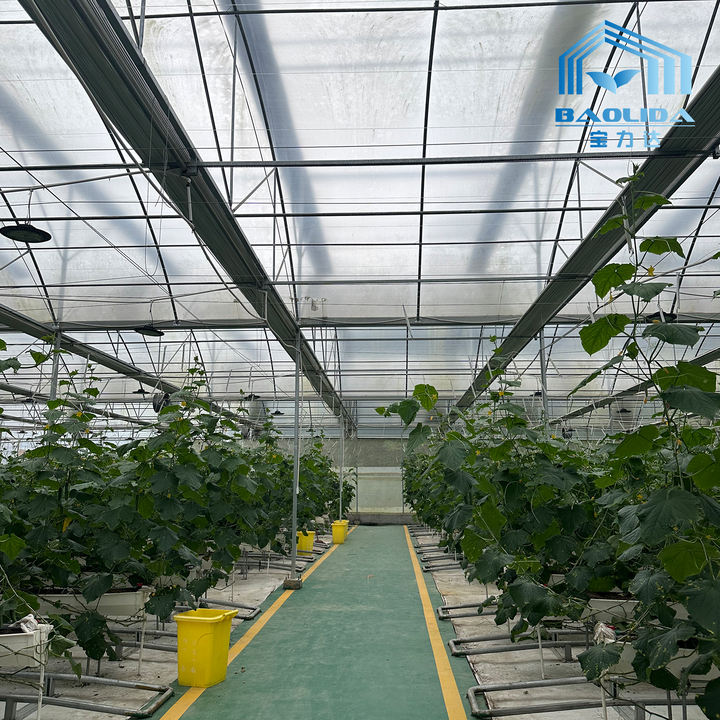 Baolida Large high agricultural tunnel greenhouse accessories plastic film cover multi-span greenhouses Factory Pricing Supply
