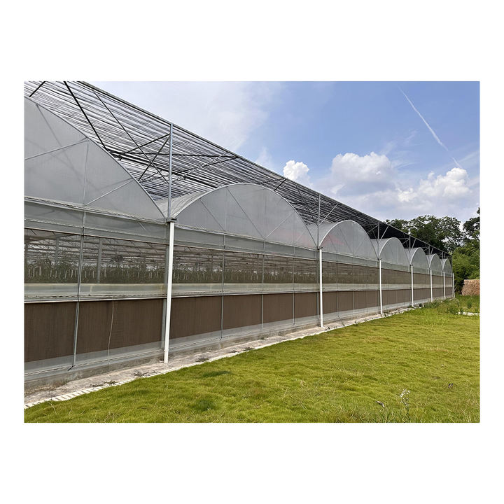 Baolida Multispan Cooling System Gutter Connected Poly Tunnel Greenhouses Supplier Green House For Vegetables