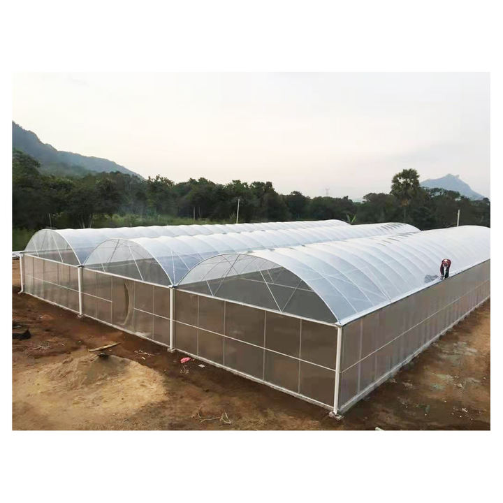 Baolida Stocked 24x40m Green House Polytunnel Hoop House Frame Multispan Hothouse Serre Agricole Greenhouse Wholesale Bulk Supply