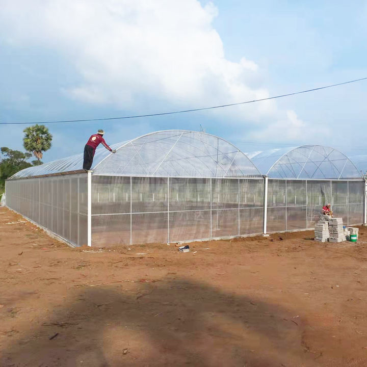 Baolida Stocked 24x40m Green House Polytunnel Hoop House Frame Multispan Hothouse Serre Agricole Greenhouse Wholesale Bulk Supply
