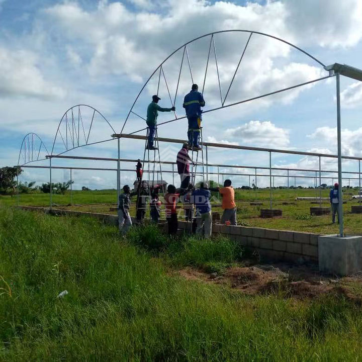 Baolida Stocked 24x40m Green House Polytunnel Hoop House Frame Multispan Hothouse Serre Agricole Greenhouse Wholesale Bulk Supply