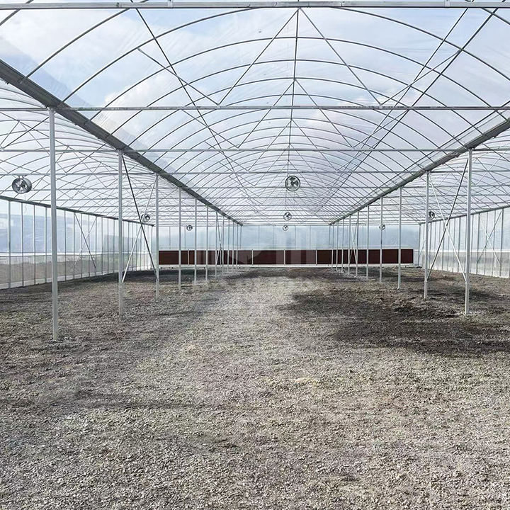 Baolida Stocked 24x40m Green House Polytunnel Hoop House Frame Multispan Hothouse Serre Agricole Greenhouse Wholesale Bulk Supply